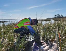 Maritime Environmental | Maritime Consulting | WSP | WSP